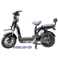 Xe đạp điện Action 11 Chính hãng, Đầy đủ phụ kiện, bình điện, sạc điện Tặng nón bảo hiểm Bảo hành 24 tháng
