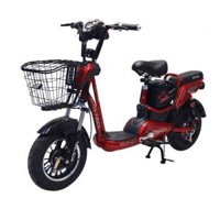 Xe Đạp Điện Action AC 10