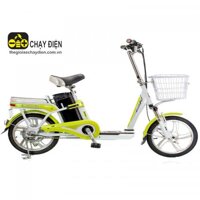 Xe đạp điện Aima ED315