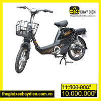 Xe đạp điện Anbico AP1503