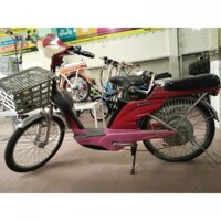 Xe đạp điện Asama  ASG cũ