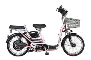 Xe đạp điện Asama EBK RY2001