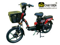 Xe đạp điện AVA V1