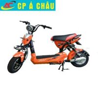 Xe đạp điện BLUERA 133 PRO