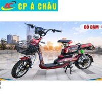 Xe đạp điện BLUERA FAST10_16