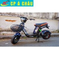 Xe đạp điện BLUERA SUPER MAX