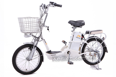 Xe đạp điện Bridgetone SLI 48