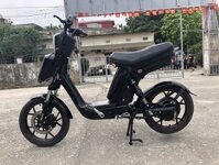 Xe Đạp Điện Cap A Pega Cũ