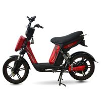 Xe đạp điện cap A Teraa Moto
