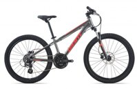 Xe đạp điện địa hình Giant XTC 24 D1 2022***