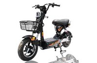 XE ĐẠP ĐIỆN DK 133M