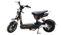 XE ĐẠP ĐIỆN DK 133M