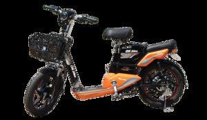 Xe đạp điện DK Miku Max