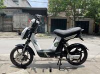 Xe Đạp Điện Dk Samurai Cũ