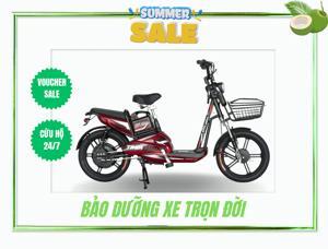 Xe đạp điện Dk Tron