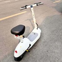 Xe đạp điện gấp gọn OKAI EA10