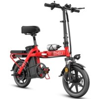 Xe đạp điện gấp Qili - Theli, Xe đạp điện gấp gọn Theli, Pin Lithium cao cấp 48V11A-20A