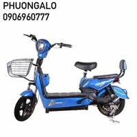 Xe đạp điện giá rẻ