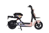Xe đạp điện Giant L-GB133