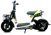 Xe đạp điện Giant M133