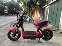 Xe Đạp Điện Giant M133S Cũ