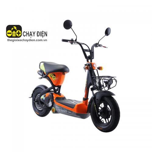 Xe đạp điện Giant Momentum M133 (M-133)