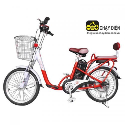 Xe đạp điện Gianya 029