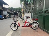 Xe Đạp Điện Hkbike Zinger Color Cũ