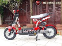 Xe Đạp Điện HT BIKE 133 S8