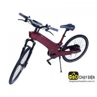 Xe đạp điện Hyundai Toma