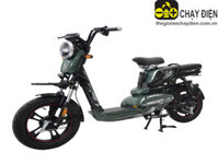 XE ĐẠP ĐIỆN JVC G10