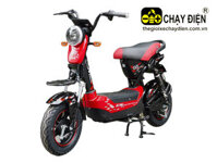 XE ĐẠP ĐIỆN JVC G5