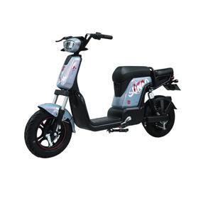 Xe đạp điện JVC G9