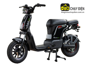 Xe đạp điện JVC G9