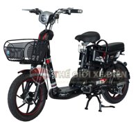 Xe Đạp Điện JVC Winter New