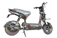 XE ĐẠP ĐIỆN LIÊN DOANH NHẬT BẢN HTN BIKE