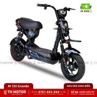 Xe đạp điện M 133 GRANDE