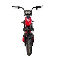 Xe đạp điện M133 Beebike 12Ah 2020