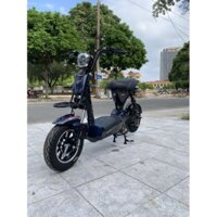 xe đạp điện M133 E-ASAMA5