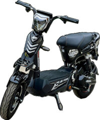 Xe Đạp Điện M133 EABIKE 20Ah Plus (Đầy Đủ Giấy Tờ)