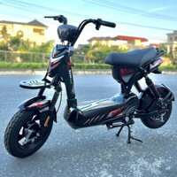 Xe Đạp Điện M133 Mini Neweco