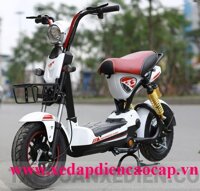 Xe đạp điện M133 Sport