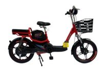 XE ĐẠP ĐIỆN MARTIN EBM A1