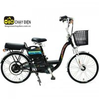 Xe đạp điện Martin MTE Pin Lipo