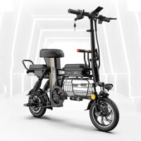 Xe đạp điện mini gấp gọn THELI