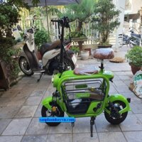 xe đạp điện mini Lihaze chở thú cưng