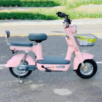 Xe đạp điện Moka