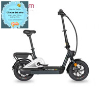 Xe đạp điện momentum