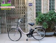 Xe đạp điện Nhật chạy tay ga assista