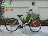 Xe đạp điện Nhật National